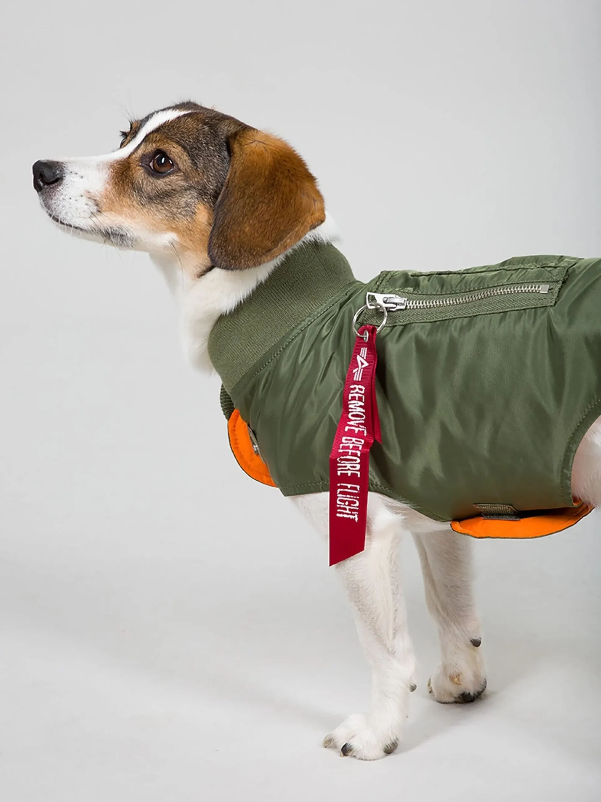DOG MA-1 NYLON FLIGHT JACKET