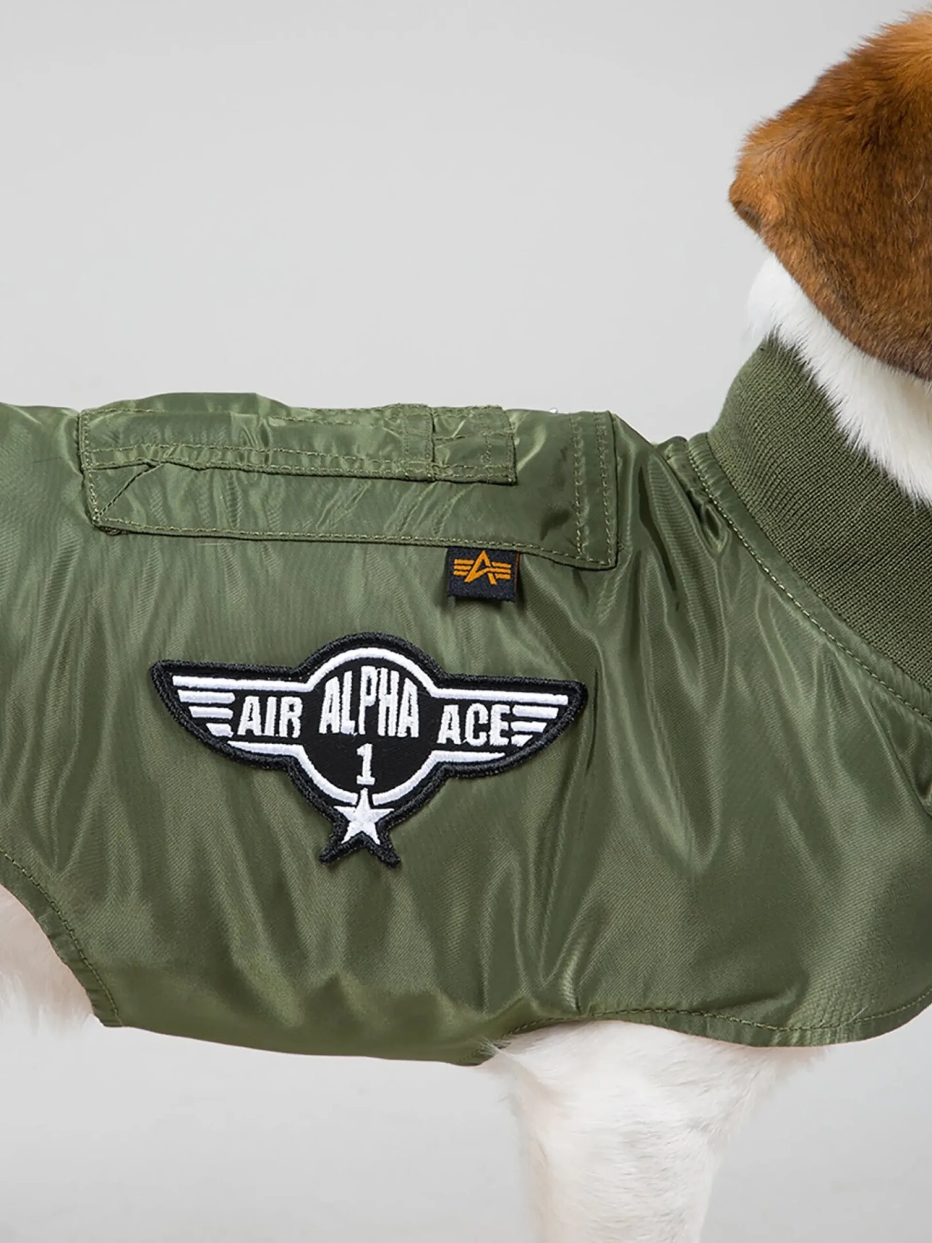 DOG MA-1 NYLON FLIGHT JACKET