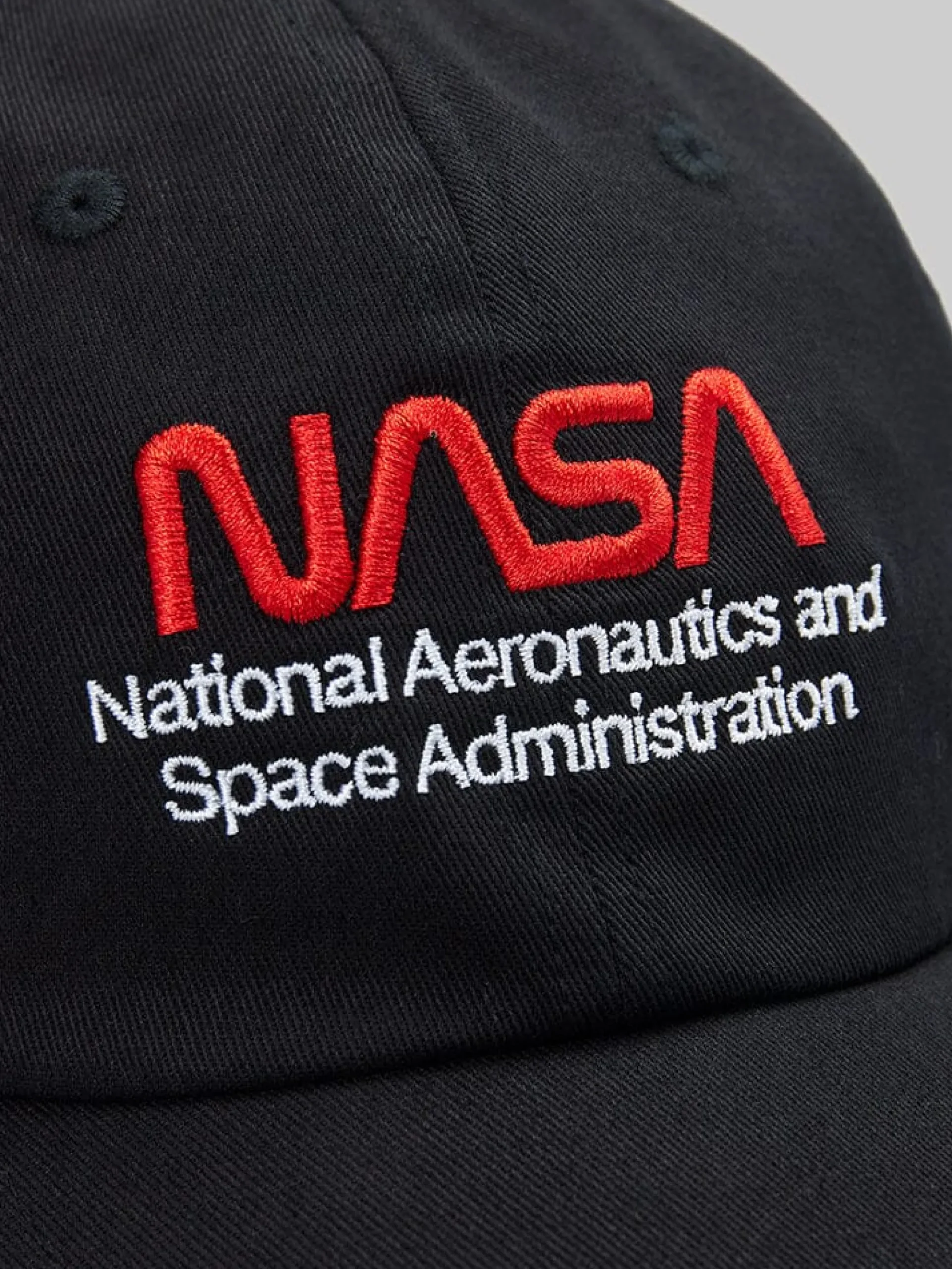 NASA WORM LOGO CAP