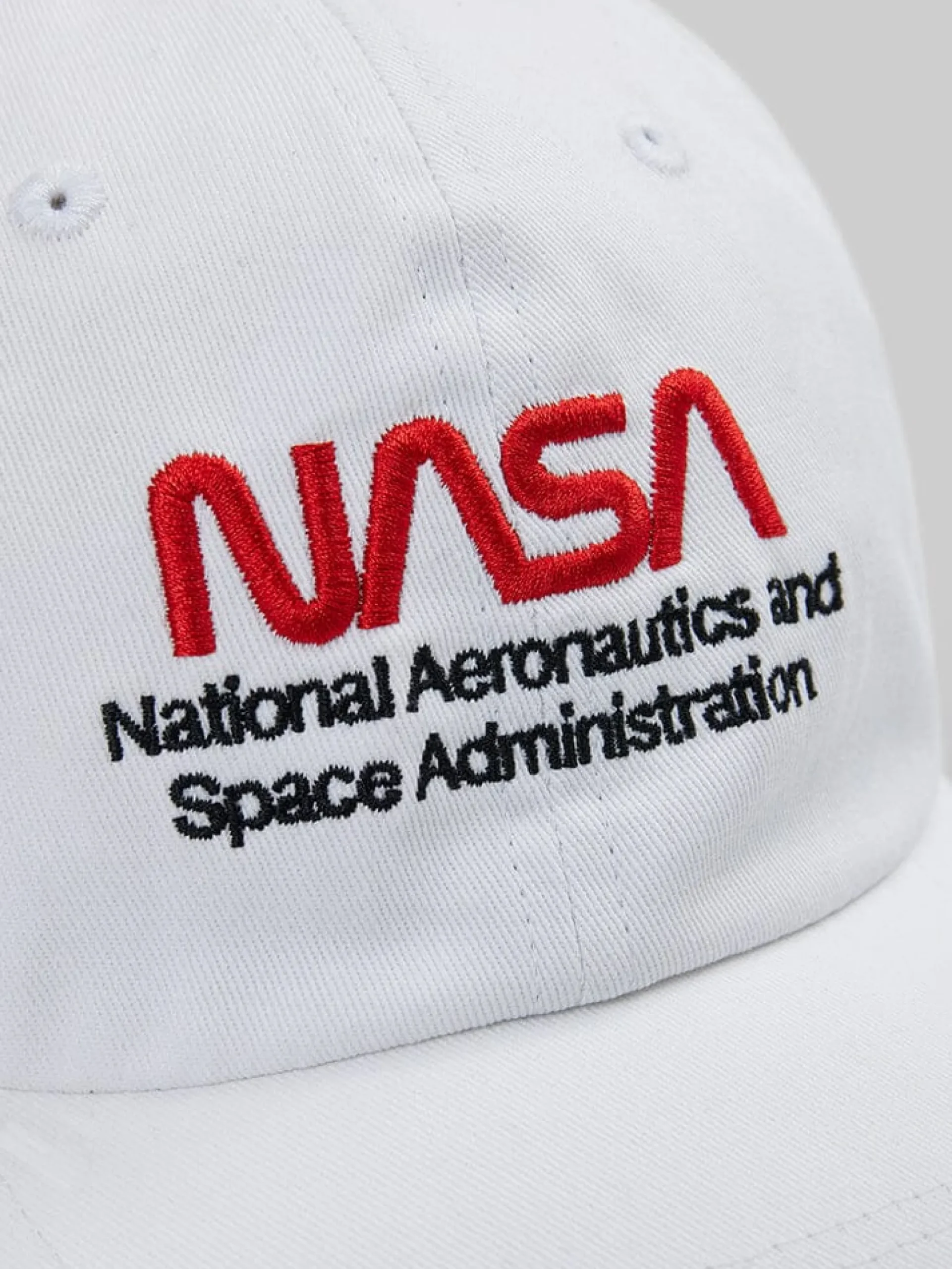 NASA WORM LOGO CAP