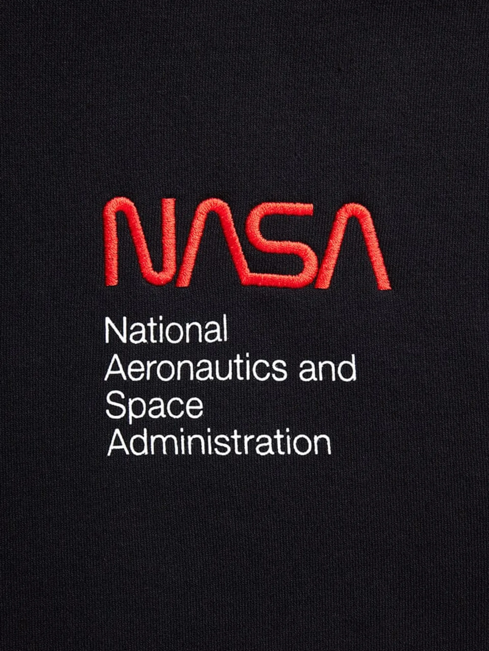 NASA WORM LOGO HOODIE